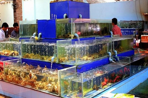 Bể cá hải sản cho nhà hàng giá bao nhiêu?