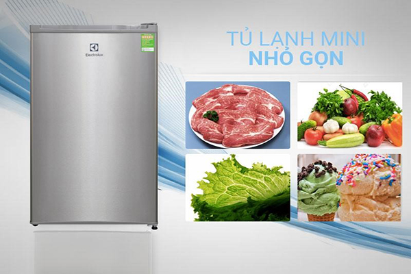 Vì sao nên sử dụng tủ lạnh electrolux 92 lít eum0900sa?